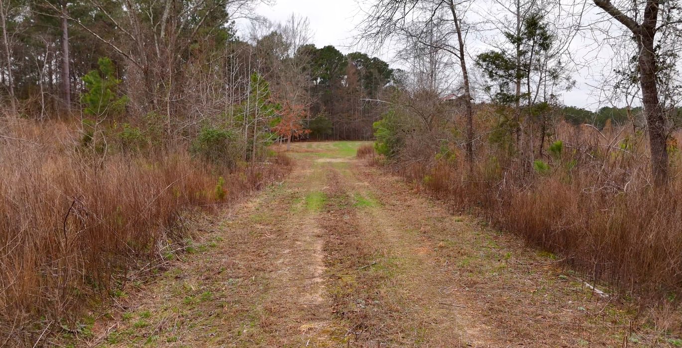 177 AFM Hightower Road 19