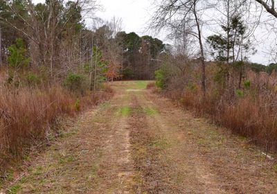 177 AFM Hightower Road 19