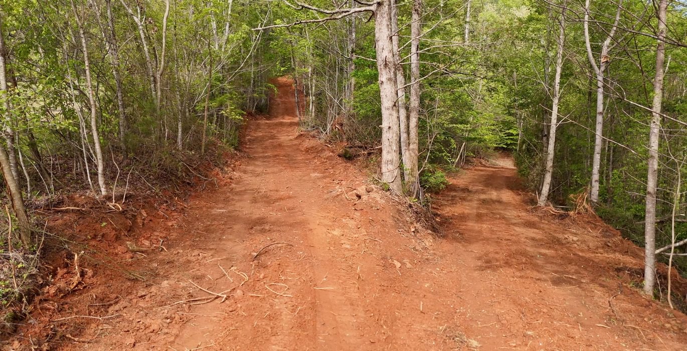 177 AFM Johnson Mountain Photo 8