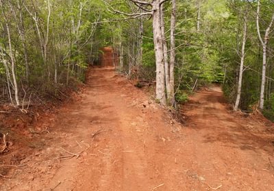 177 AFM Johnson Mountain Photo 8