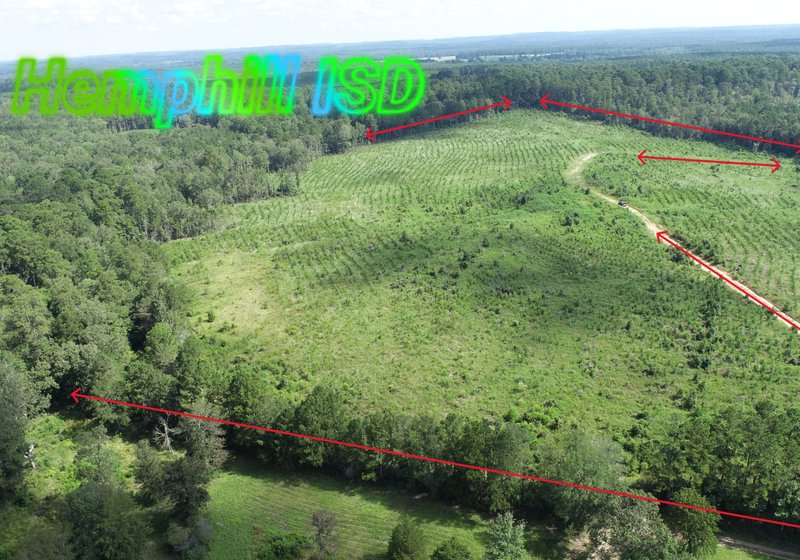 Photo 4 of Sturgis Mill T-17, 63 acres, Sabine County, Texas