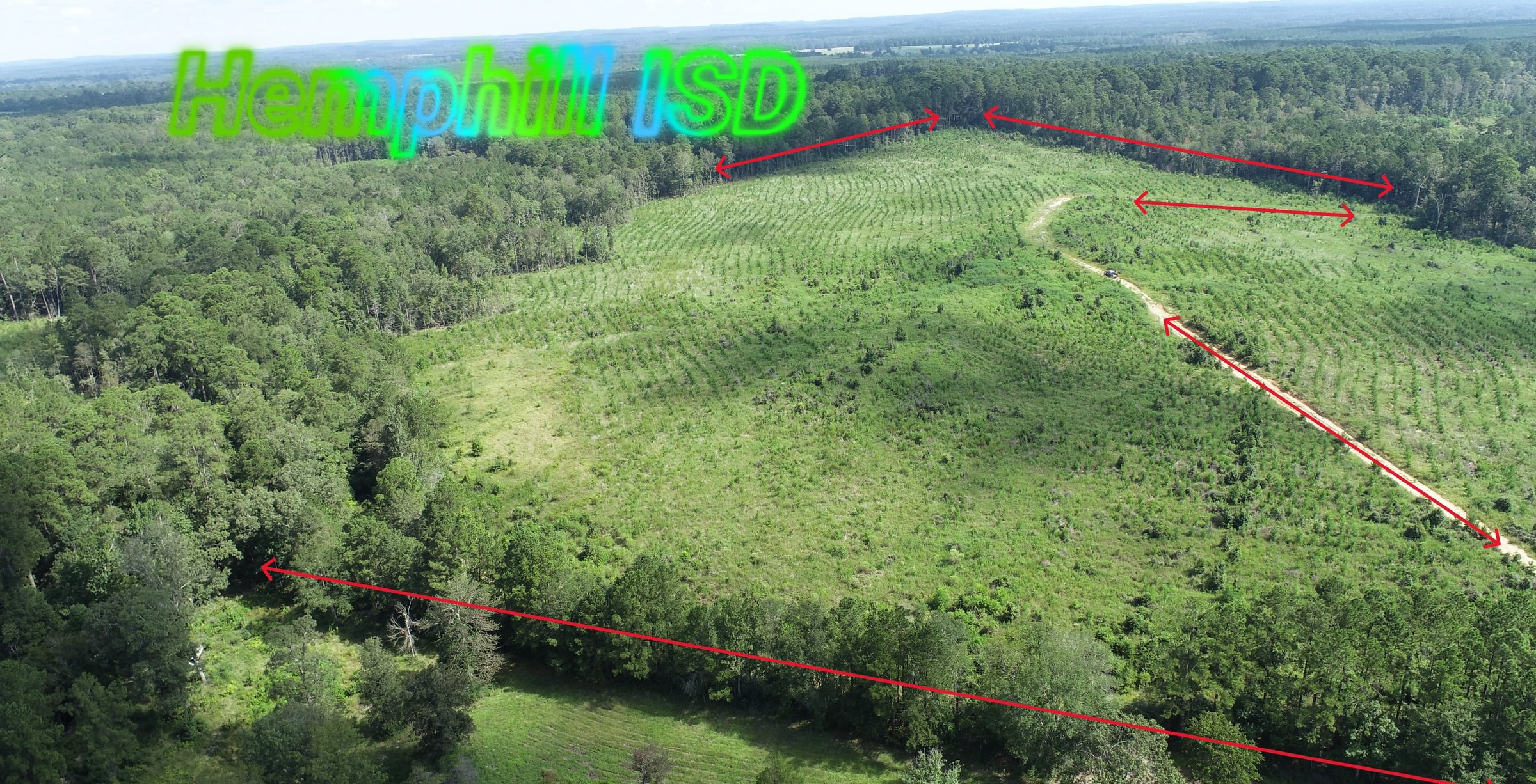Photo 4 of Sturgis Mill T-17, 63 acres, Sabine County, Texas