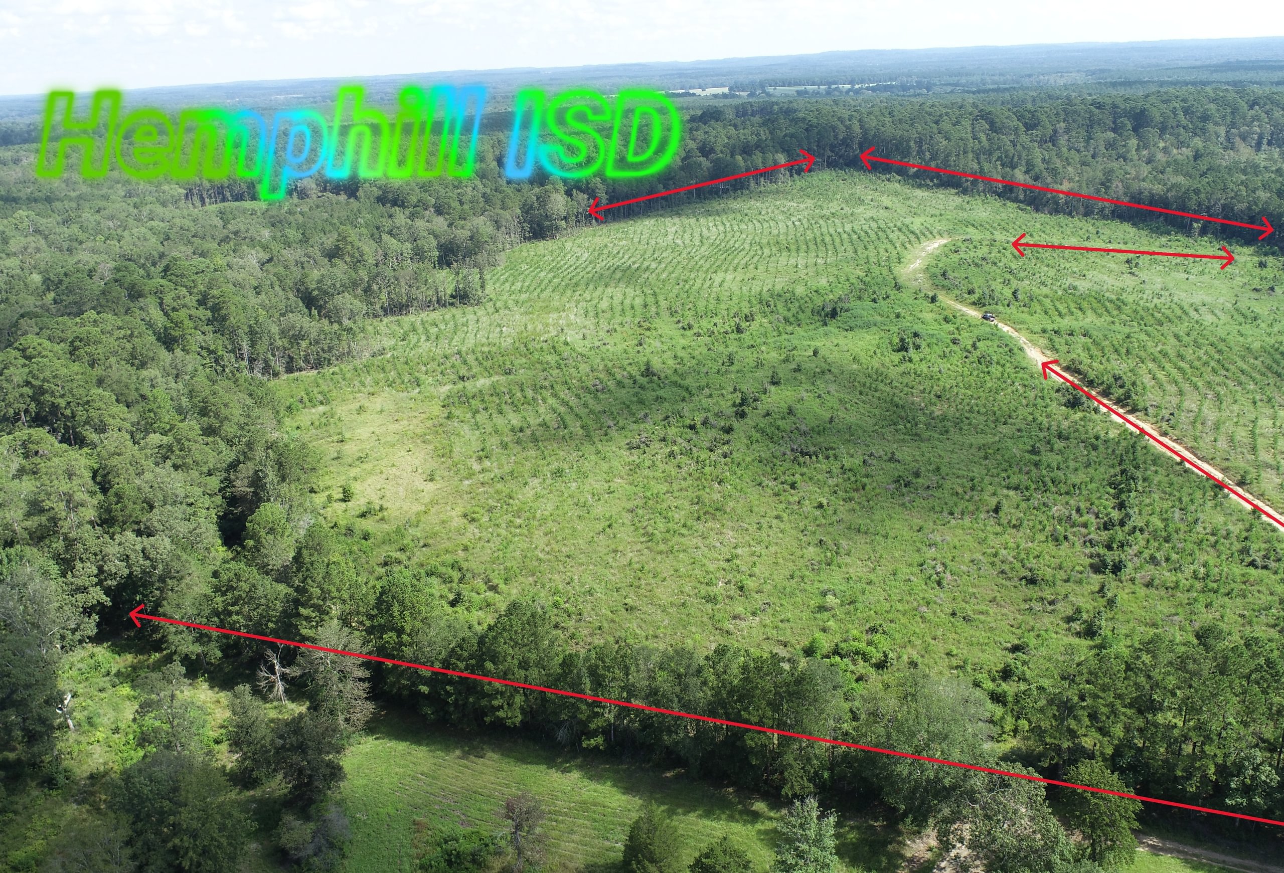 Photo 4 of Sturgis Mill T-17, 63 acres, Sabine County, Texas