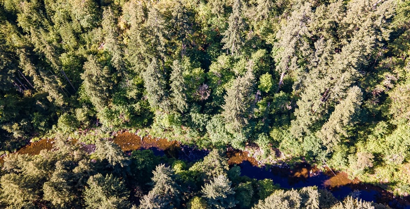 177 DJI 0956 HDR25