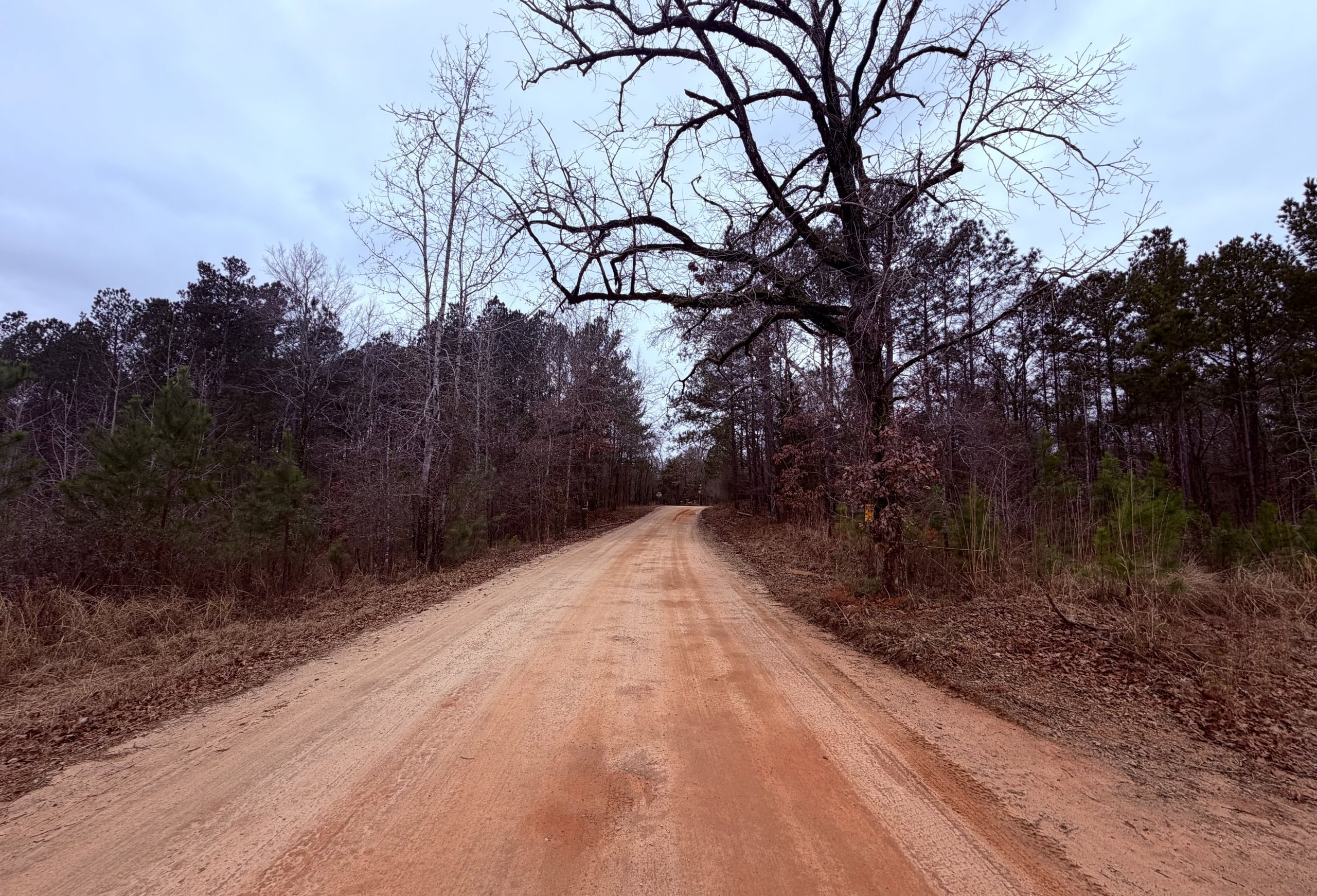 Photo 18 of Chickasaw Pines at Lake Sinclair, 131 acres, Hancock County, Georgia