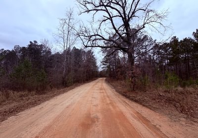 178 IMG 1070