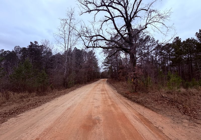 Photo 18 of Chickasaw Pines at Lake Sinclair, 131 acres, Hancock County, Georgia