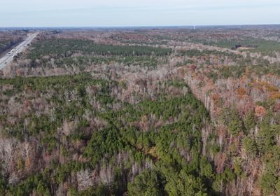 178 dji fly 20241204 142428 0040 1733367357457 photo