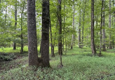 179 IMG 7216