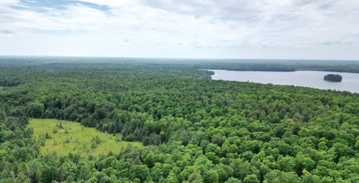 179 perchlake 40