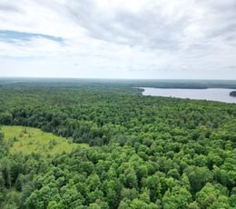 179 perchlake 40