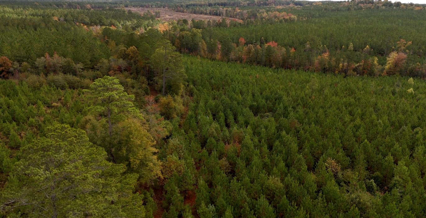 180 AFM Richmond 126 Tract Photo 3