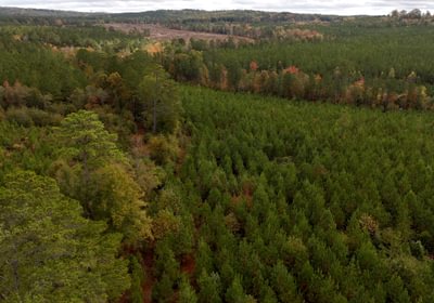 180 AFM Richmond 126 Tract Photo 3