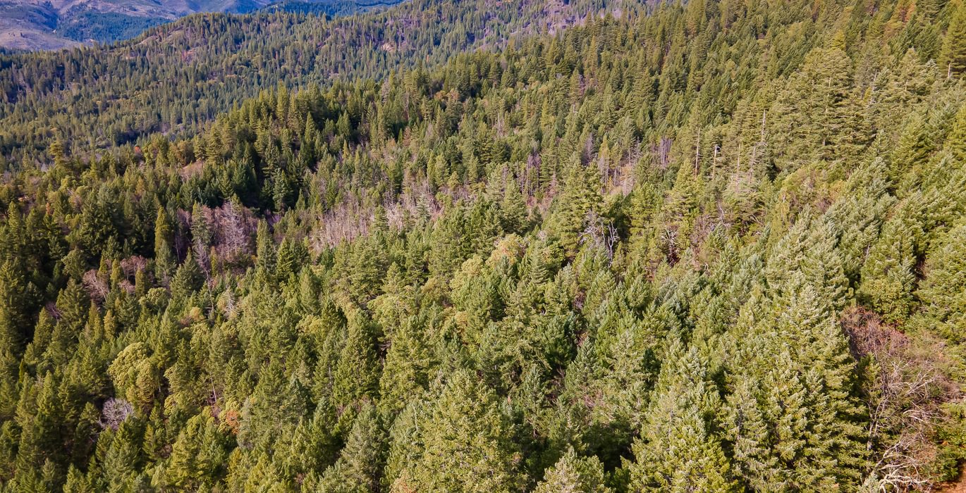 180 DJI 0771 HDR Image Merge