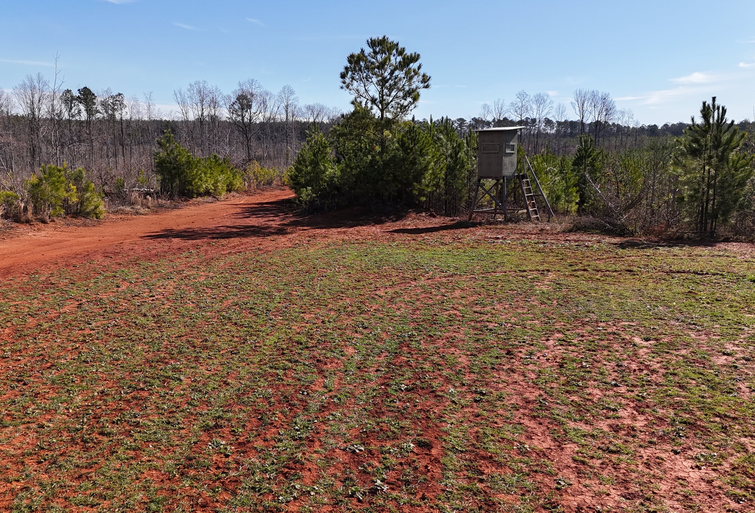 Photo 10 of Wolf Creek - Sportsman Tract, 182 acres, Jasper County, Georgia