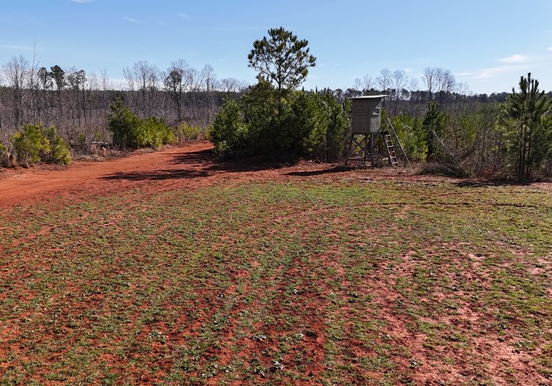 Photo 10 of Wolf Creek - Sportsman Tract, 182 acres, Jasper County, Georgia