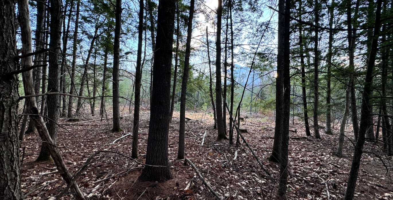 181 subdivision lot
