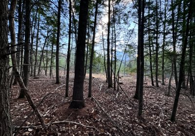 181 subdivision lot