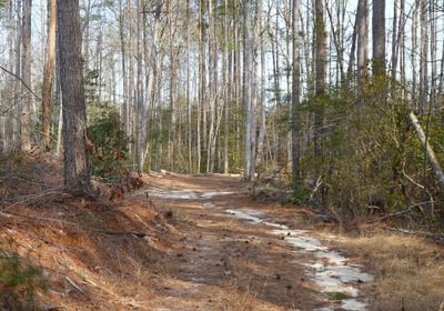 182 Church Hill pic14