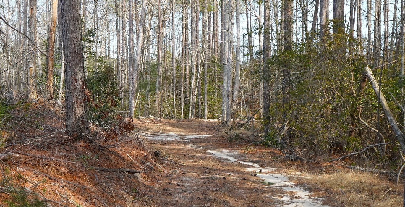 182 Church Hill pic14