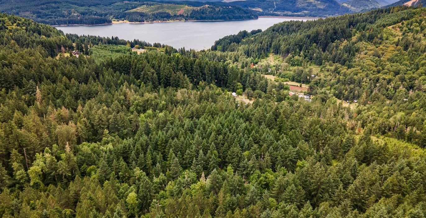 182 DJI 0657 HDR25