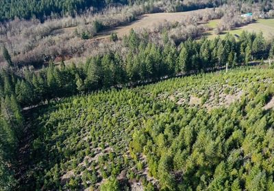 182 Photo Dec 04 2025 10 11 21 PM 8