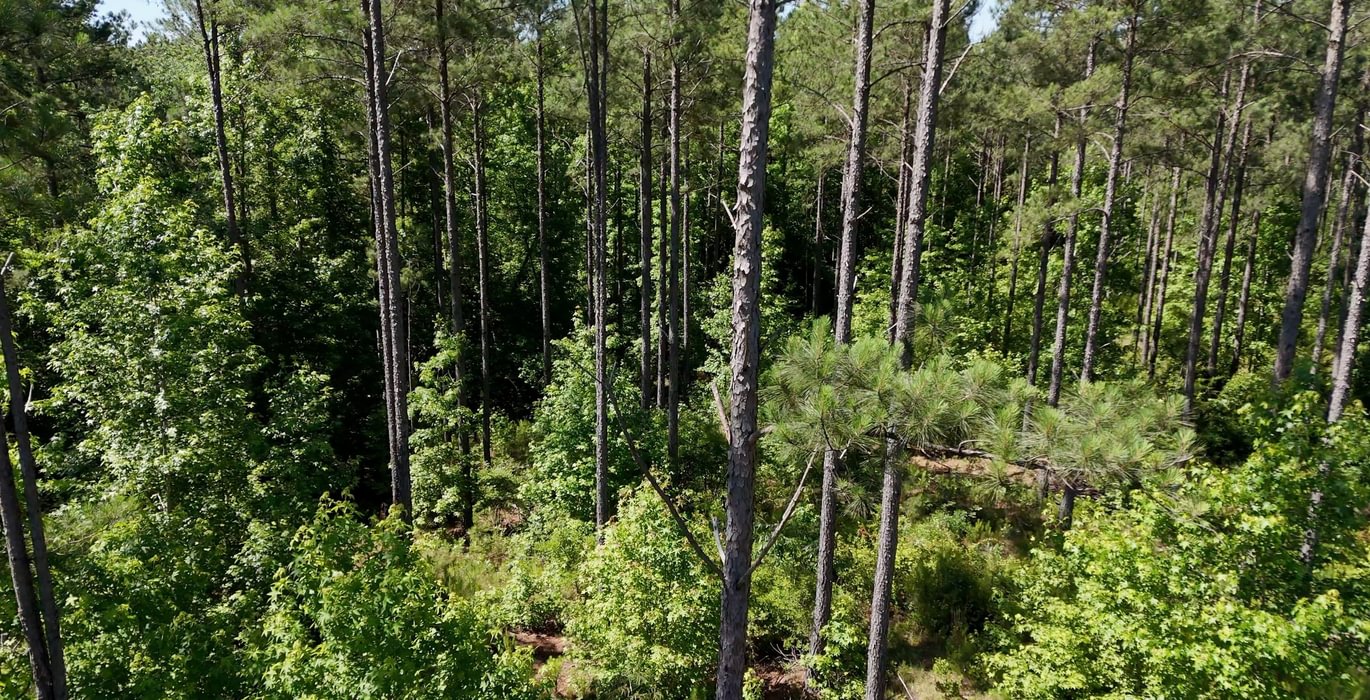 184 Horton Tract Photo 12