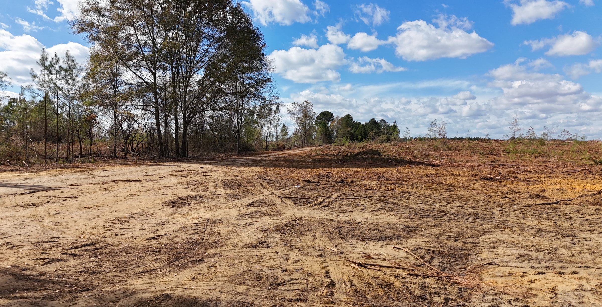 Photo 2 of Dooly County - Edwards Rd Farms, 101 acres, Dooly County, Georgia