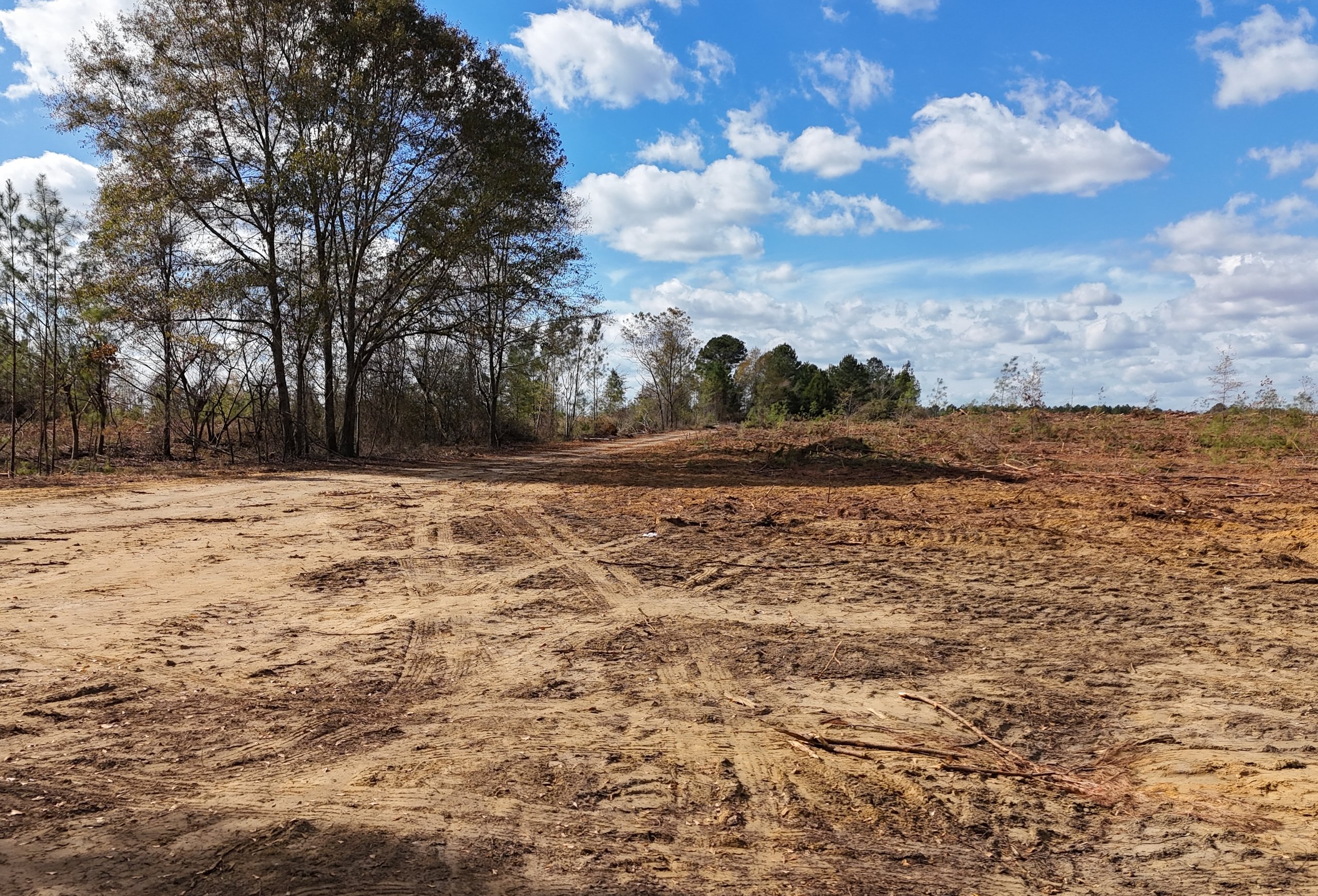 Photo 2 of Dooly County - Edwards Rd Farms, 101 acres, Dooly County, Georgia