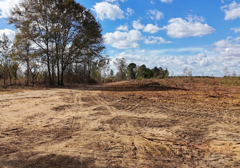 Photo 2 of Dooly County - Edwards Rd Farms, 101 acres, Dooly County, Georgia
