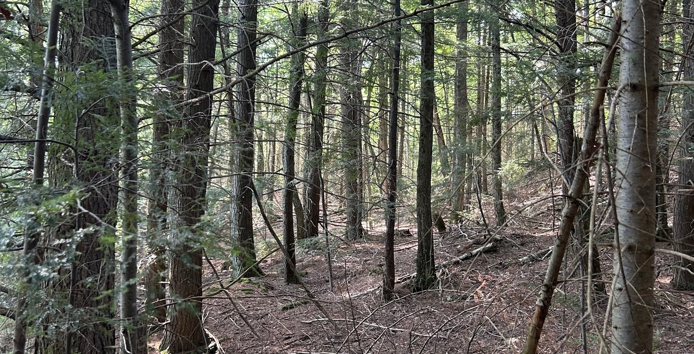 185 IMG 1926