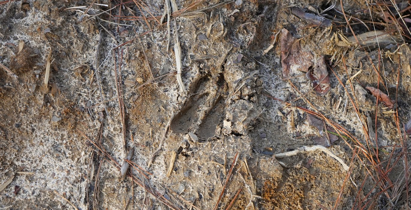 186 Church Hill pic8