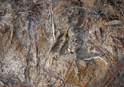 186 Church Hill pic8