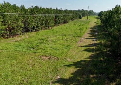 186 Longleaf Mecca Photo 21