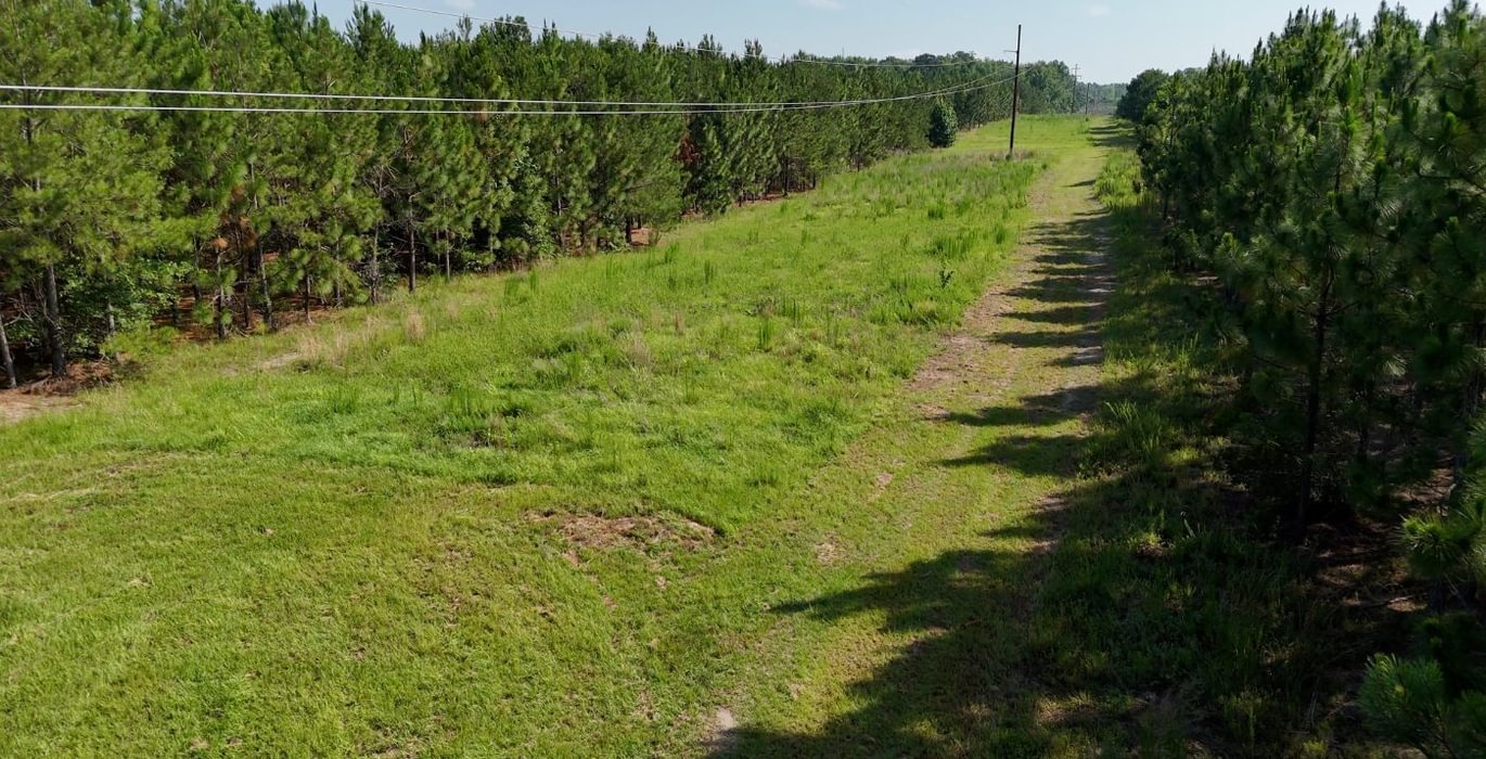 186 Longleaf Mecca Photo 21