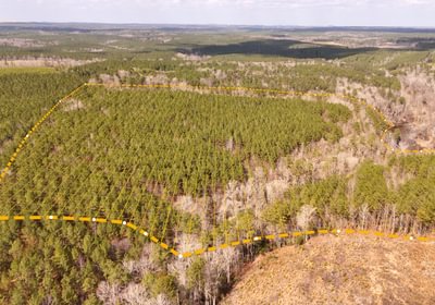 186 Pleasant Grove Road 5