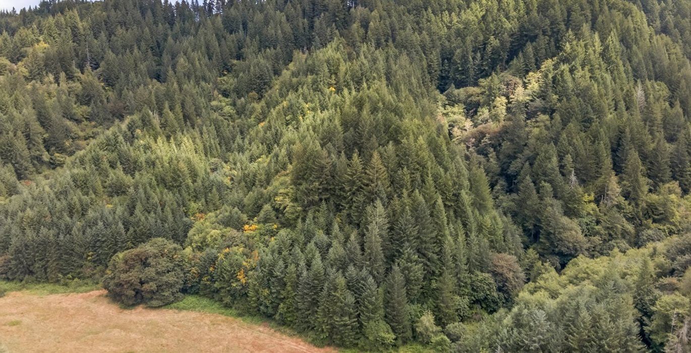 187 DJI 0550