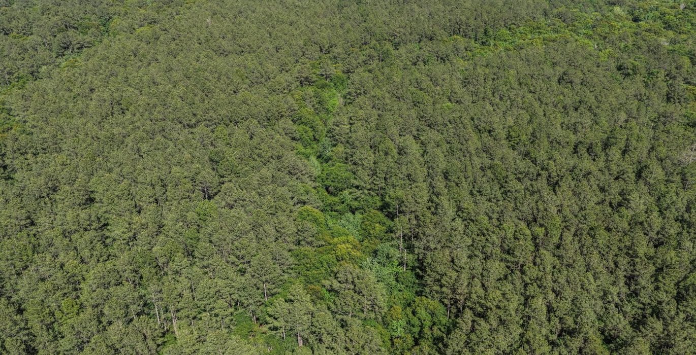 187 DJI 20260415160227 0157 D