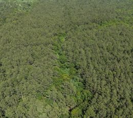 187 DJI 20260415160227 0157 D