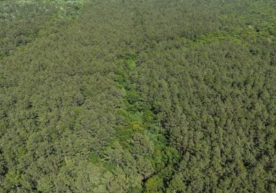 187 DJI 20260415160227 0157 D