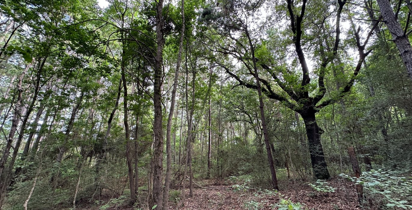 187 IMG 7876