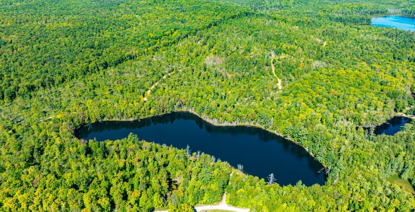 188 20260910 Horseshoe Lake Trina 22