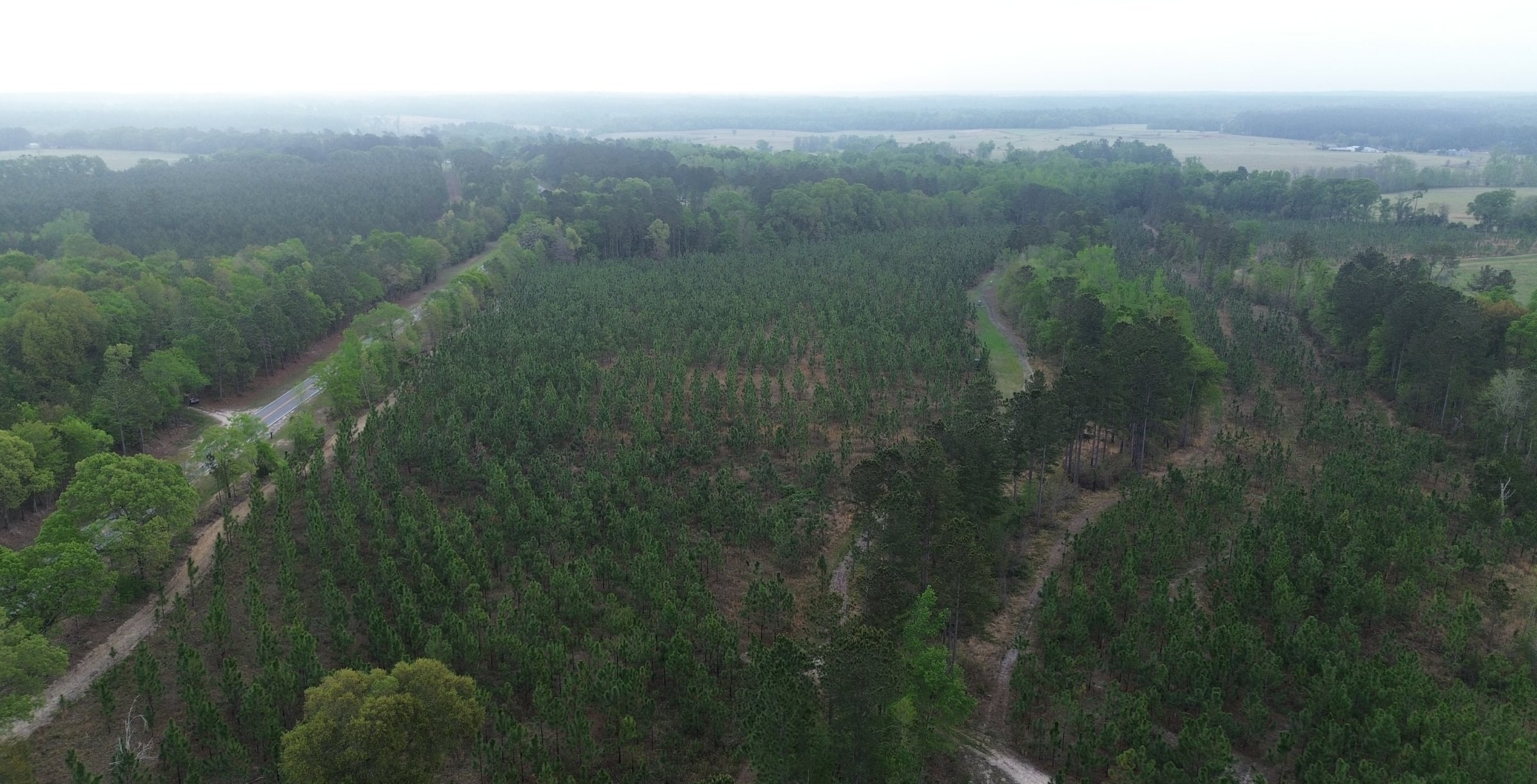 Photo 8 of Old Poor Robin Sportsman Tract 2, 24.6 acres, Screven County, Georgia