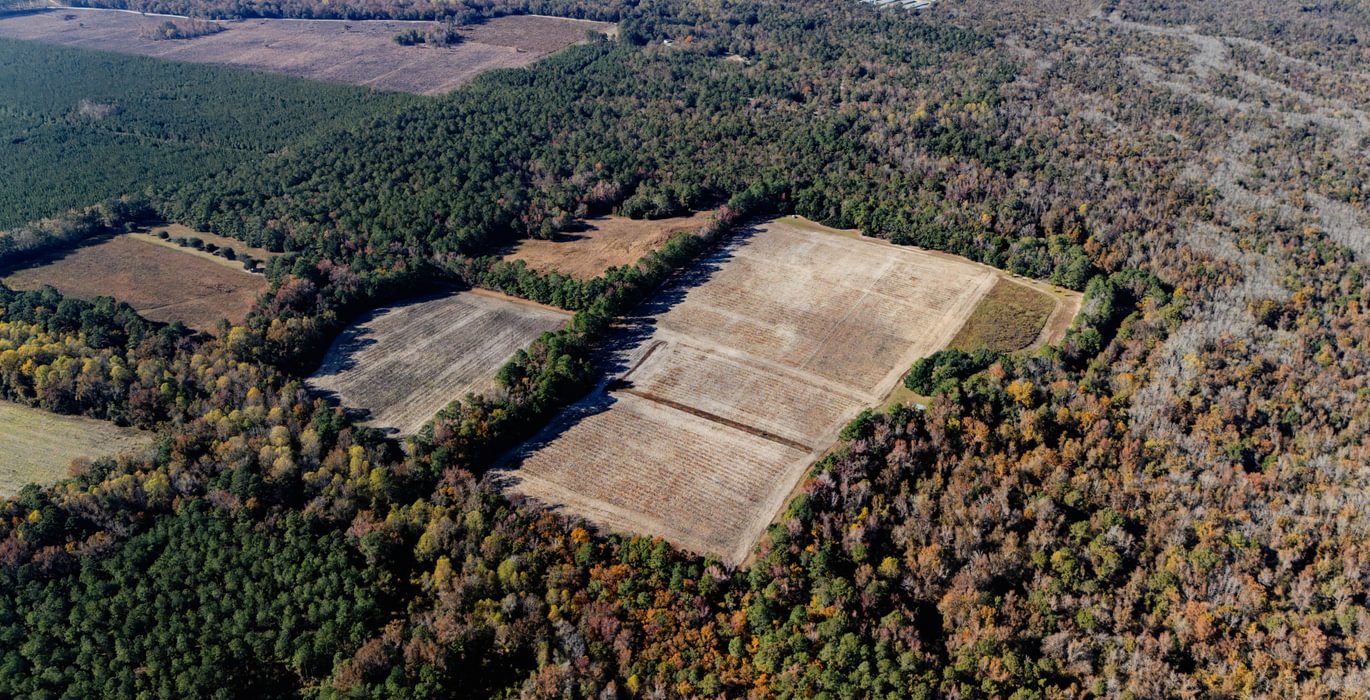 189 DJI 20251106140517 0453 D 1