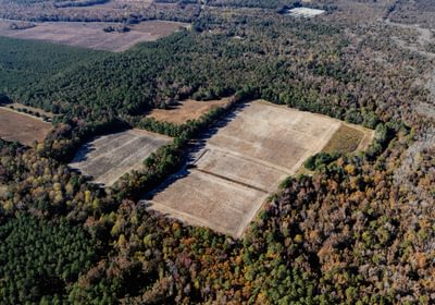 189 DJI 20251106140517 0453 D 1