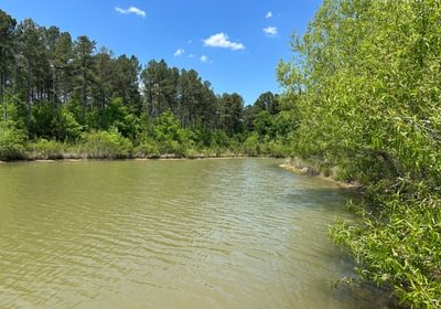 189 IMG 02031
