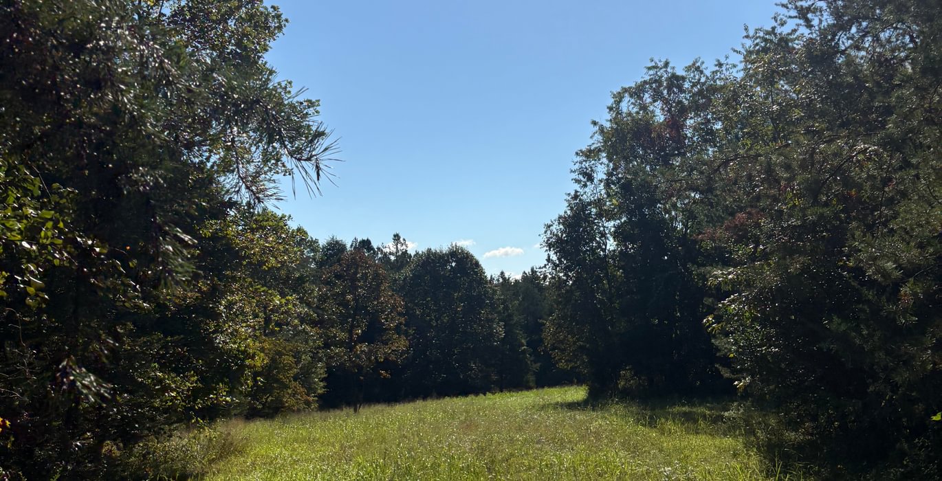 189 IMG 2656