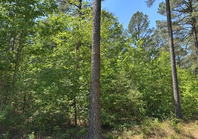 18 IMG 01071