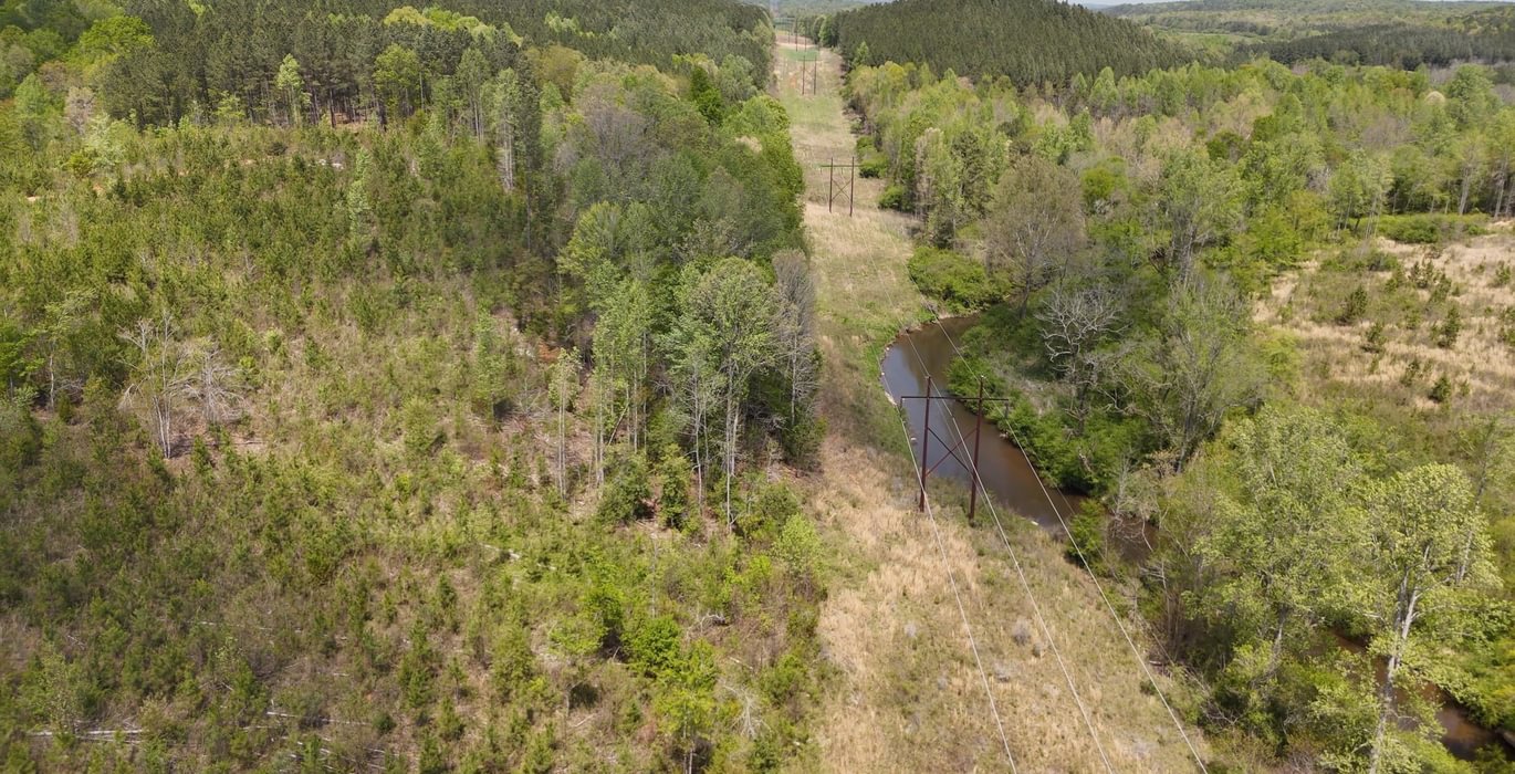 191 AFM Blue Q Ranch Photo 42