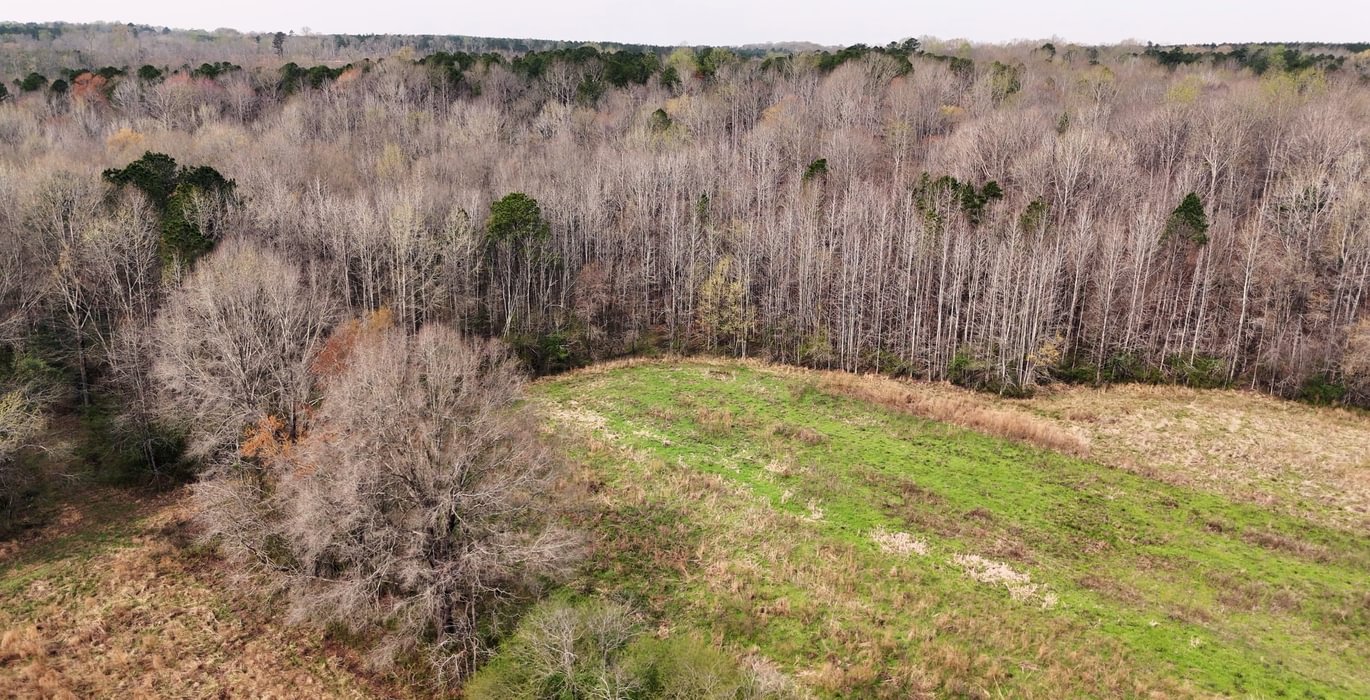 191 AFM West Fork 85 Photo 10